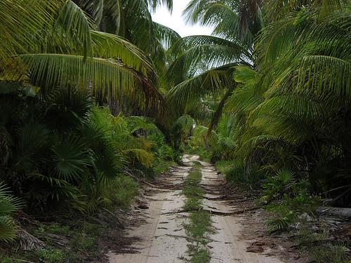 Sian Ka'an Biosphere Reserve